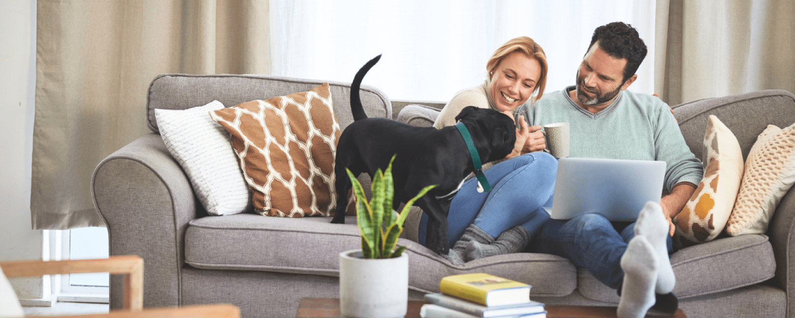 Looking for your dream home?